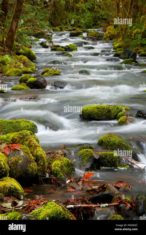 Umpqua River Trail Hi Res Stock Photography And Images Alamy