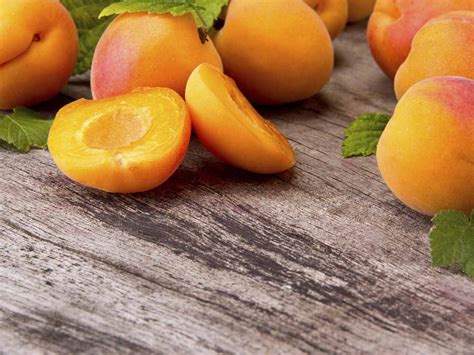 How To Grow Apricots Saga