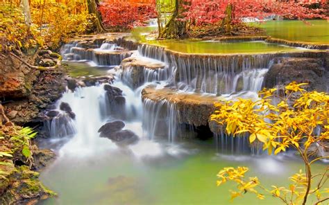 Landscape Nature Colorful Waterfall Trees Fall Roots
