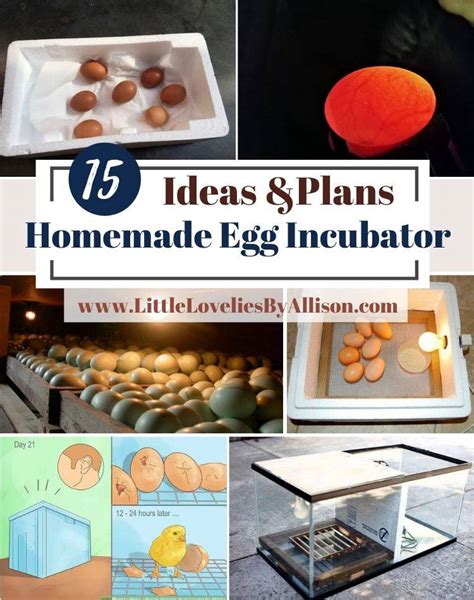 How To Make A Simple Homemade Incubator For Quail Eggs Homemade Ftempo