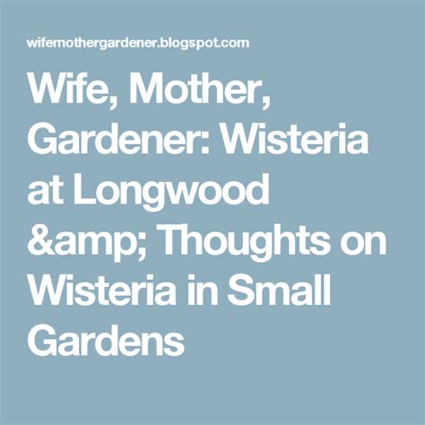 Wife Mother Gardener Wisteria At Longwood And Thoughts On Wisteria In