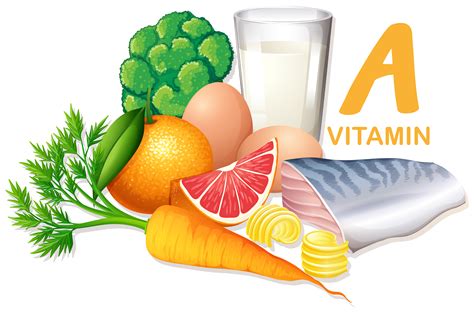 All vitamins clip art are png format and transparent background. Variety of foods containing vitamin A - Download Free ...