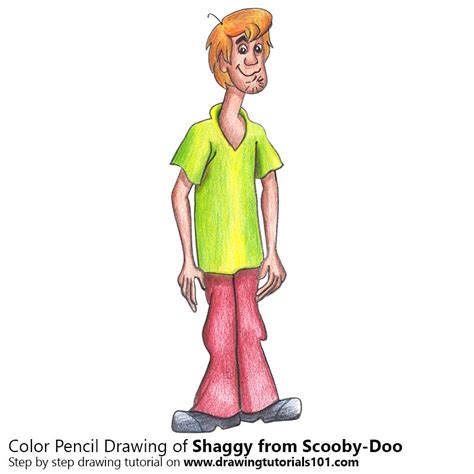 How To Draw Shaggy From Scooby Doo Scooby Doo Step By Step