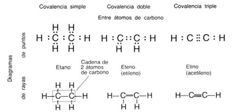 Covalencia Simple Doble Y Triple Del Carbono Cuaderno De Química