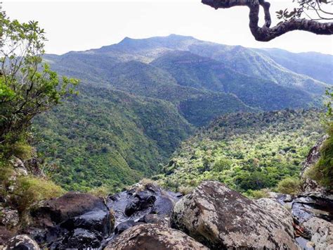 Hiking Black River Gorges National Park Mauritius Lets Venture Out
