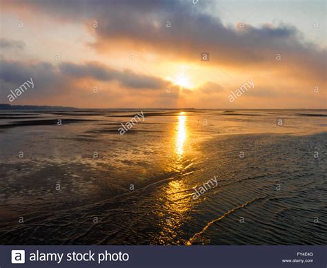 Wetlands At Twilight Hi Res Stock Photography And Images Alamy