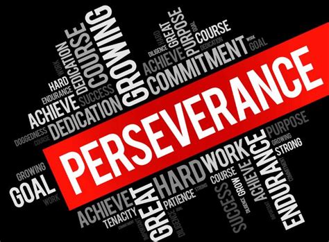 The Power Of Perseverance Unbridling Your Brilliance