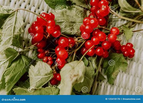 Stoneberry Red Berries with Leaves. Healthy Food. Healthy Sweets
