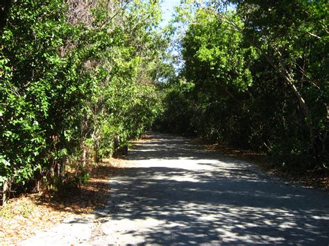 Všetky voľnočasové aktivity v lokalite key largo. Dagny-Johnson-Key-Largo-Hammock-Botanical-State-Park-008