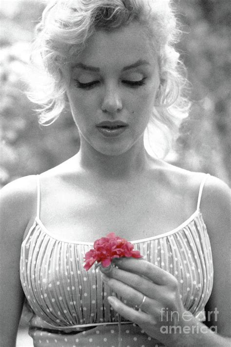 Marilyn Monroe Holding A Pink Flower Photograph By Doc Braham