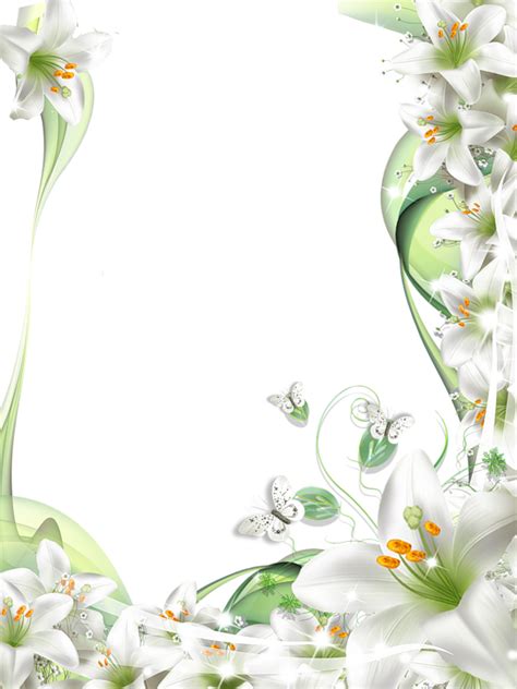 Transparent Png Photo Frame With White Lilies Flowers White Lily