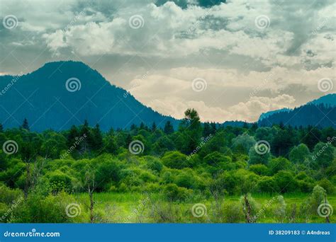 Prado O Mais Forrest Verde Na Frente Da Montanha Imagem De Stock