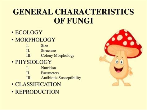 General Characteristics Of Fungi