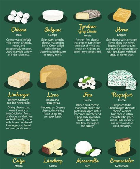 51 Cheeses From Around The World Best Infographics