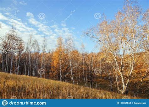 Beautiful Bright Sunny Colorful Autumn Landscape Morning
