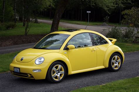 Profile Beetles And Volkswagen