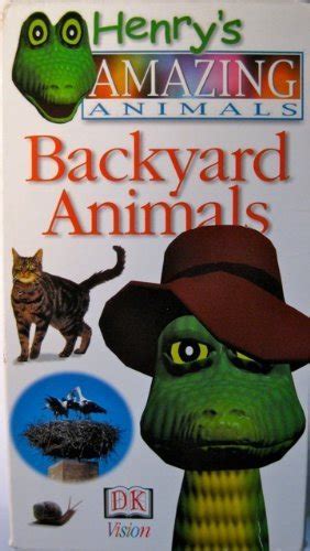 Backyard Animals Henrys Amazing Animals Dk Publishing