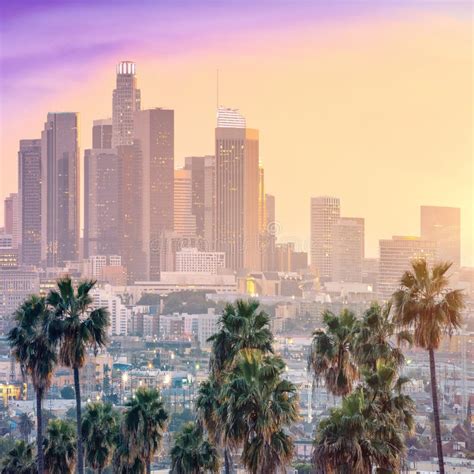 Amazing Sunset View With Palm Tree And Downtown Los Angeles California