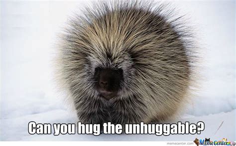 Dont Hug The Porcupine Nsc Blog