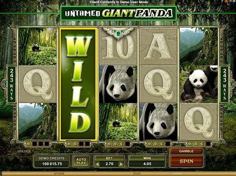 Untamed Giant Panda Slot Free Play And Review ️ December 2023
