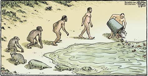15 Satirical Evolution Cartoons That Will Make You Question Our