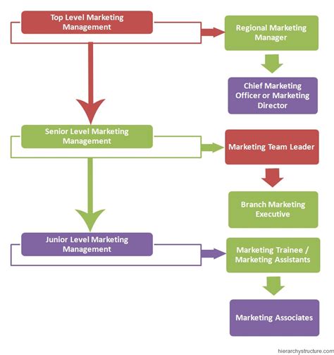 Marketing Management Structure Hierarchy Hierarchy Structure