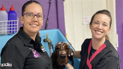 Work with dogs: pet groomers in demand to style fur babies | The Advertiser