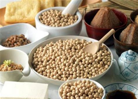 Soy Rich Diet Protects Women From Bpa Health Risks