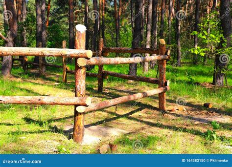 Wooden Fence In Forest Stock Photo Image Of Sunlight 164383150