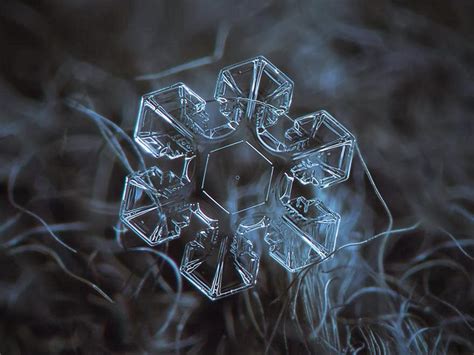 Alexey Kljatov Photographs Stunning Close Ups Of Snowflakes ~ Today World News