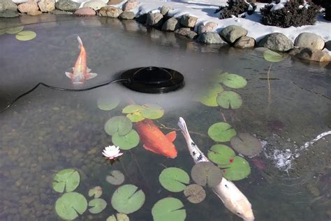 How To Choose The Right Pond Heater For Your Koi Pond Winterize Guide