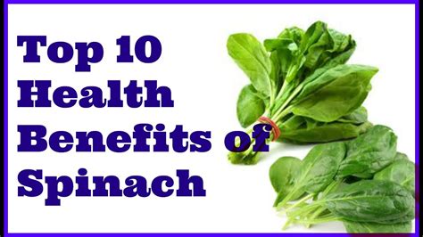 Top 10 Amazing Health Benefits Of Spinach Youtube