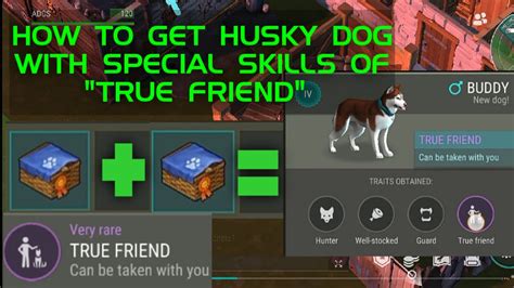 Tutorial How To Get Husky True Friend Dog How To Get True Friend Husky