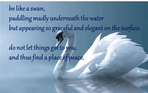 be like a swan paddling madly underneath the water but appearing so graceful and elegant on the