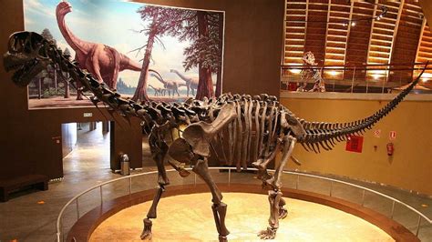Gsi Scientists Stumble Upon 100 Million Year Old Dinosaur Bones In