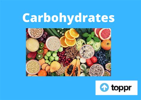What Are Carbohydrates Carbohydrates Function Faqs