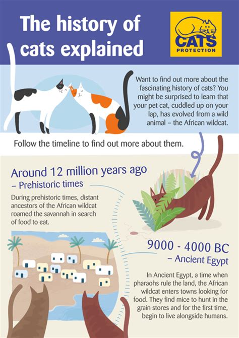 The History Of Cats Explained