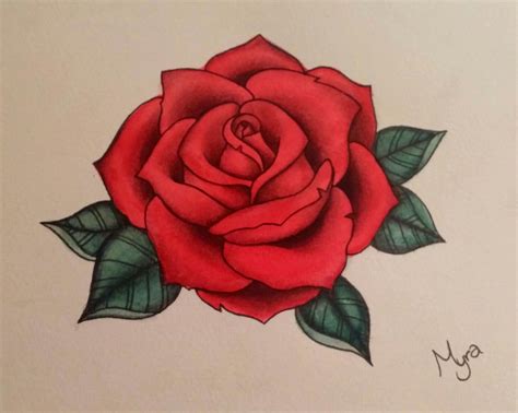 Red Rose Drawn