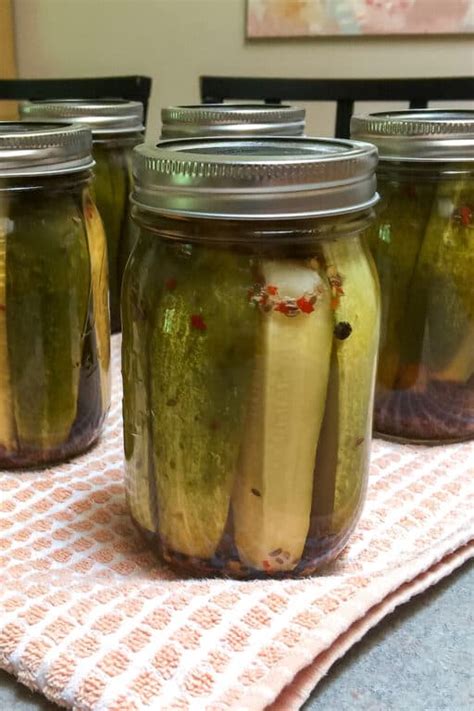 Homemade Garlic Dill Pickles Canning Recipe The Hungry Bluebird