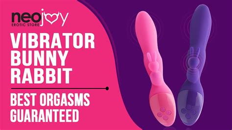 neojoy rabbit vibrator vibrator for women g spot and clitoral available in pink and purple