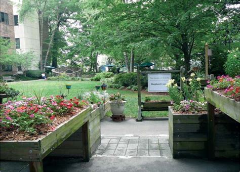 Essay Healing Gardens—places For Nature In Health Care The Lancet