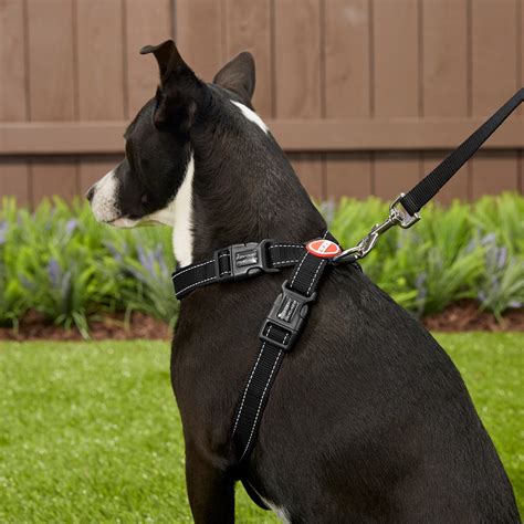 Ezydog Chest Plate Dog Harness Black Large