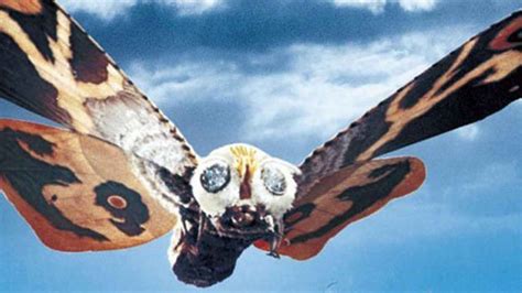 Meet The Monsters Getting To Know Mothra Before She Returns In