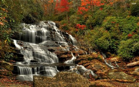 Waterfall In An Autumn Forest Hd Wallpaper
