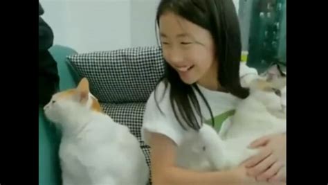 Cats Reaction To Girl Petting Another Kitty Makes People Chuckle