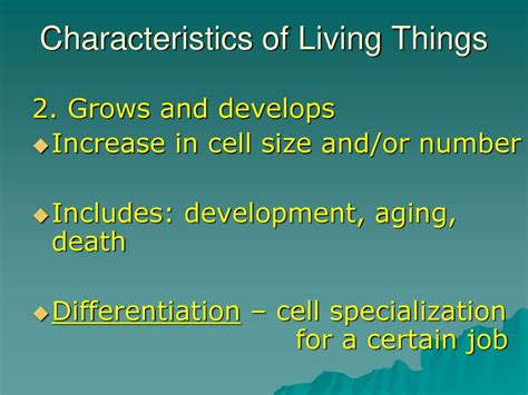 Characteristics Of Living Things Ppt Download