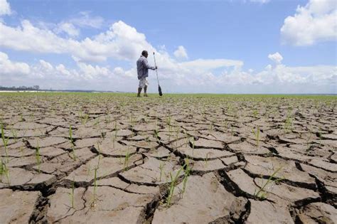 Brazil The Most Severe Drought In The Past Half Century