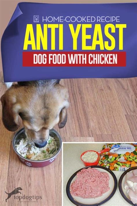 Homemade Dog Food For Yeast Infections