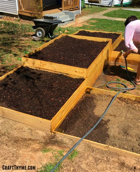 I got lucky, only two stay looking health but the look same size as i planted them and that was 4 years ago. How to Prepare Raised Garden Beds: Weed Free Style • Craft ...