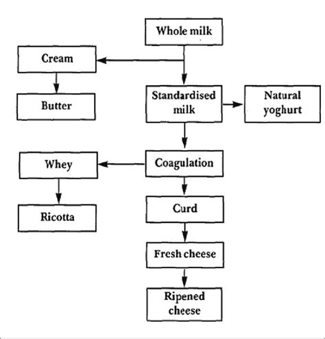 Conversion Of Milk Into Dairy Products Download Scientific Diagram